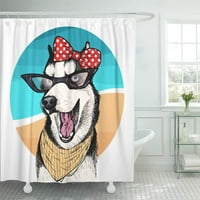 Portret sibirskih haskih psa koji nose sunčane naočale i retro luk kupatilo za kupanje za kupanje za