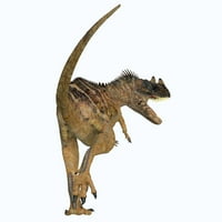Ceratosaurus dinosaur, pogled na stražnji dio. Poster Print Corey Ford Stocktrek Images