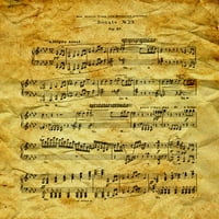 Ludwig van Beethoven Sonate Zidni mural Wallmonkeys Peel i Stick Graphic WM205384