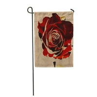 Cvjetni vintage šarene akvarel i grafički crvena ruža na bežoj bazi svemirske okućnice Dekorativna zastava