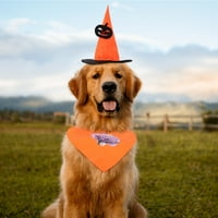 Hemoton set Halloween tematski šeširi Predivni maglica za kućne ljubimce za kućne ljubimce