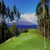 Palmi na golf terenu, Wailea Emerald Course, Maui, Havaji, USA Poster Print