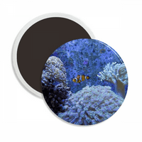 Ocean Science Clownfish Nature Slika okruglog cerac Frižider Magnet održava ukras