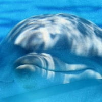 Plavo more Dolphin Animal Maska za lice Natkriveni vrat GAITER pokrov za lice Snaj za sunce Sun UV prašina