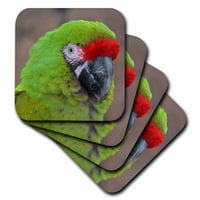 3Droza Green Parrot Head C Bird - Mekani podmornici, set od 4