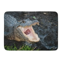 Pink Gator Alligator Otvoren na širokoj u Nacionalnom parku Everglades Aliigator Florida Doormat kat