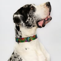 Country Brook Petz® Premium Tie Dye Stripes ovratnik za pse, izuzetno veliko