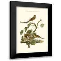 Nozeman Crni moderni uokvireni muzej umjetnički print pod nazivom - Nozeman Common Teal gnijezdo