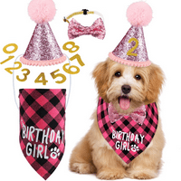 Bidina rođendanska zabava Rođendan Boy Girl Dog Bandana Triangle Scarf košulja za odjeću Slatka pseća šešir sa ovratnikom sa psom