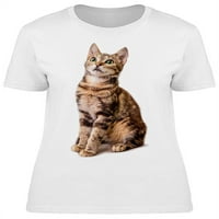Siva prugasta slatka mačka sjedeće majice žene -image by shutterstock, žensko malo