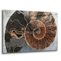 Epic Art 'Amonitna spirala' Elena Ray, akrilna staklena zida Art, 36 x24
