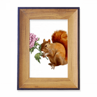 Squirrel Chrysanthemum Jesen Foto okvir Izložba Display Art Desktop Slikarstvo