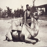 Ispis: anglo-egipatski sudan - vojnik kamile izvornih snaga