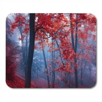 Zelena pad drveća crveno lišće u plavoj magli na mounomPad mišem mišem prostirkom