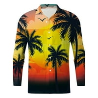 Muška modna bluza Najbolji tropski stil Print Hawaii Summer Majica Dugi rukav jesen zima 3d print košulje