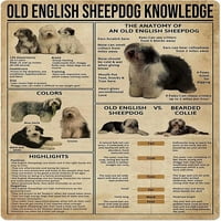 Old English ovčarski znanje Metalni limenki znak Vintage Anatomija starog engleskog ovčara Retro poster
