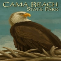 State Park Cama Beach, Washington, ćelav orao, ulje slikarstvo