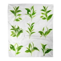 Flannel baca bibena biljka zeleni čaj list grana bijela biljka svježa grupa mekana za kauč na kauču