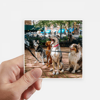 Zgodni psi Pet za životinje naljepnice naljepnice Square vodootporne naljepnice za pozadinu