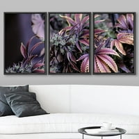 Zid uokviren platna Print Wall Art Set Purple Leaf Marihuana Cannabis Korov CBD Botanička cvjetna fotografija