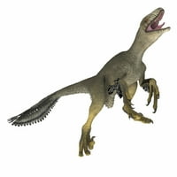 Dakotaraptor dinosaur na bijeloj pozadini. Poster Print Corey Ford Stocktrek Images