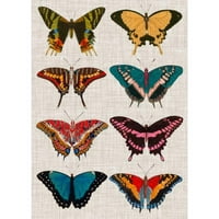 Vision Studio Crni moderni uokvireni muzej Art Print pod nazivom - polikrome leptiri i