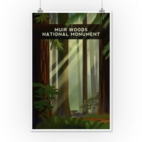 Muir Woods National Monument, California, Redwood Forest, Geometrijska litografija