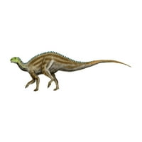 Tenontosaurus dinosaur, bijeli pozadinski poster Print