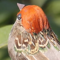 Pompotops do 50% popusta, 12pc set ptica umjetne perja pjene golubovi vjenčani dekor mjesto održavanja