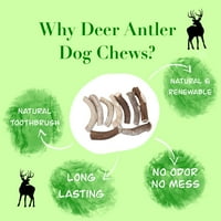 Deer Valley Chews Premium jelena Antler za vrlo velike pse - teška i dugotrajna pasa kost za agresivne
