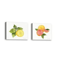 Set od - Citrus Garden - Savremena likovna umjetnost Giclee na platnu Galerija - zidni dekor - umjetničko