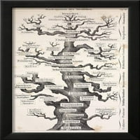 Haeckel prvo pune stablo života, figurativna svjetska kultura uokvirena umjetnost tiskana zidna umjetnost