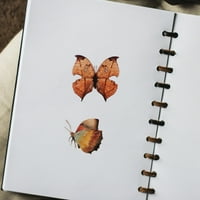 Naljepnice leptira leptir naljepnice naljepnice Scrapbook naljepnice DIY ScrapBooking naljepnice za
