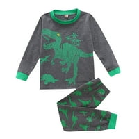 Advoicd Baby Boy majica i hlače Dečije dječake duge dinosauruske djevojke pidžame set outfit baby boy