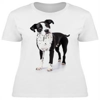 Pas, bokser dalmatinska hibridna majica žena -image by shutterstock, ženska mala