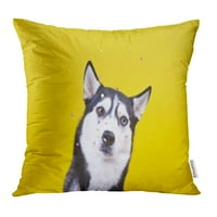 Smiješan razdvojen od pasmina pasa sibirski husky na žutom podnesu Confetti The Jastuk Cušce za jastuk