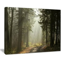 Dizajnerska umjetnost 'tamnozelena šuma sa sunčevim zracima' fotografskim otiskom na omotanu platno