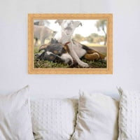 Light Brown Bamboo Real Wood Frame Expent širina