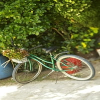 Francuska Polinezija, Tahiti, maupiti, bicikl parkiran pod drvetom. Print plakata