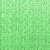Ahgly Company Zatvoreni pravokutnik Solid smaragdno zelene moderne prostirke, 7 '9 '