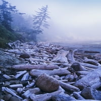 Driftwood gomile duboko na sjevernoj uvali; Charleston, Oregon, Sjedinjene Američke Države Poster Print