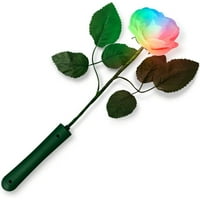 Svjetlo promjene boje ruža s bijelim laticama