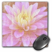 3Droza Zen Gratitude Pink Dahlia cvijet Drvo Dizajn cvijeća Fotografija, jastučić za miš, prema
