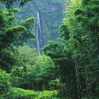 Havaji, Maui, Hana, Oheo Gorge, Waimoku Falls i bambusov šumski poster Print