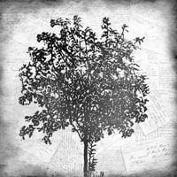 Allen, Kimberly crni moderni uokvireni muzej umjetnički print pod nazivom - Drvo silueta crno-bijela