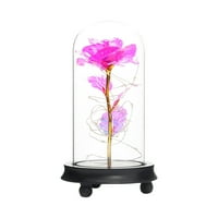 Tarmeek Beauty and The Beast Rose poklon očarani šareni LED Galaxy Crystal Rose cvjetna svjetlost u