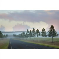 Maglovito manele manele putni autoput u Sunrise - Lanai Hawaii Sjedinjene Države Print - In
