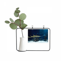 Ocean Ray Skate Science Nature Picture Metal Picture Frame Cerac Vase Decor