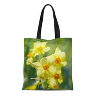 Platnena torba proljeće lijepi narcitils narcis cvjetni cvjetni vrt schroeer torba za ponovnu upotrebu ramena Trgovinske vrećice