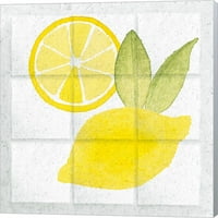 Citrus TILE VI by Elyse Deneige, platno Zidna umjetnost